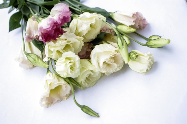 洋桔梗婚禮佈置