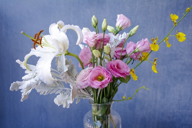 洋桔梗切花養護