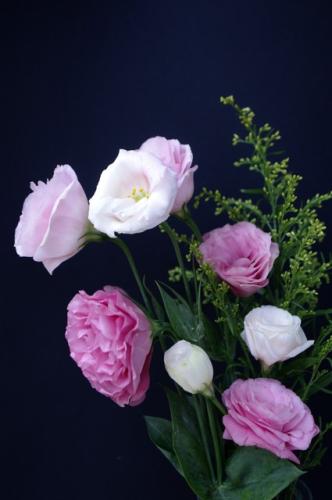 洋桔梗盆栽展示