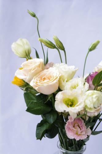 洋桔梗摘心技術